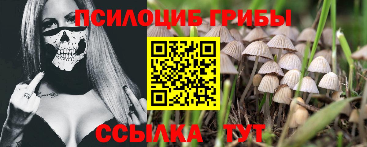 Лыткарино  Галлюциногенные грибы мухоморы  Псилоцибиновые грибы ЛСД  Вход с VPN 